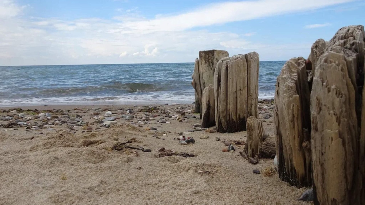 Photo of Others in Udsholt Sand