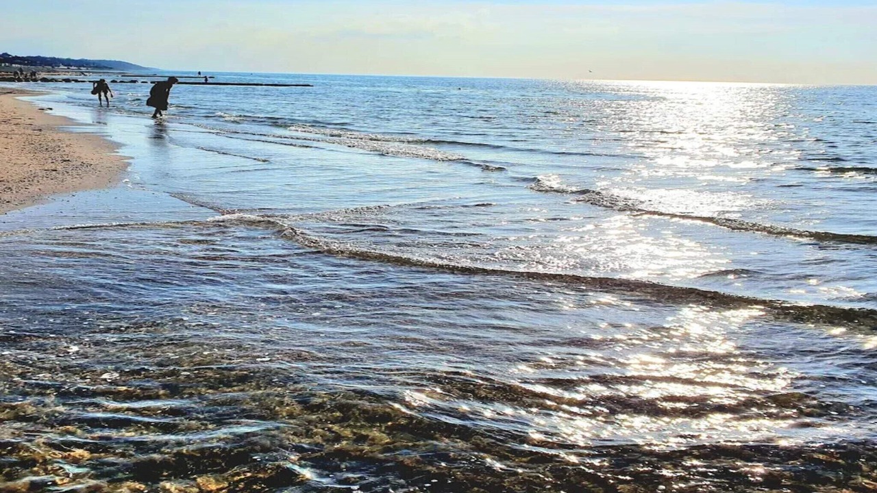 Photo of Others in Udsholt Sand