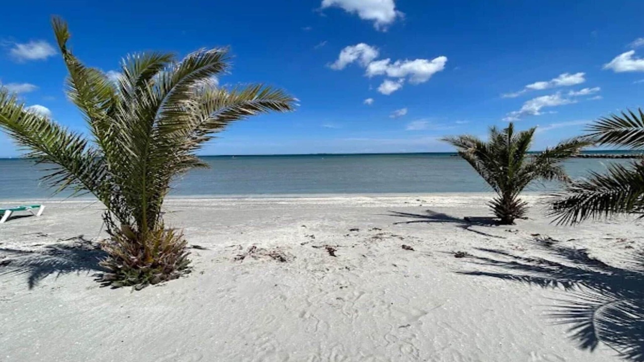 Photo of Others in Frederikshavn