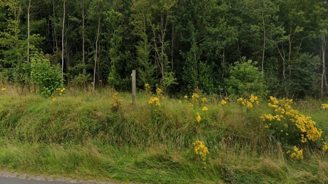 Photo of Others in Ansager