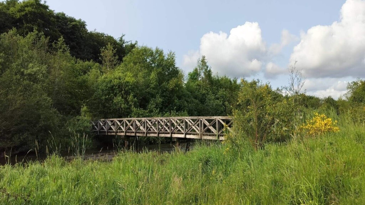 Photo of Others in Ansager
