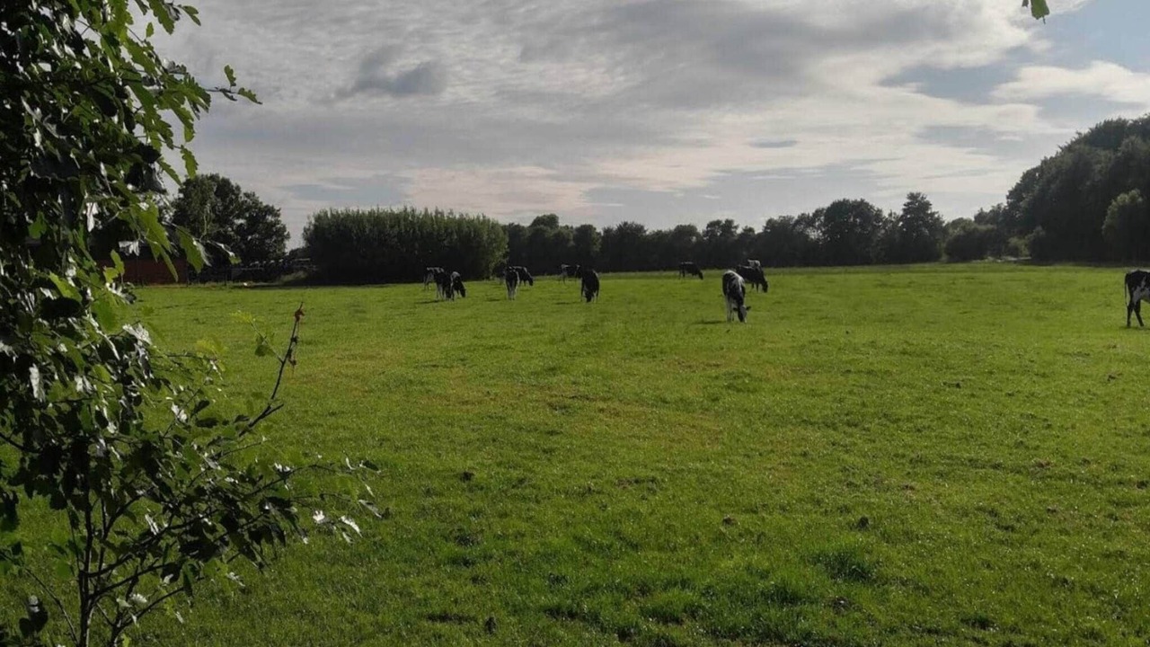 Photo of Others in Ansager