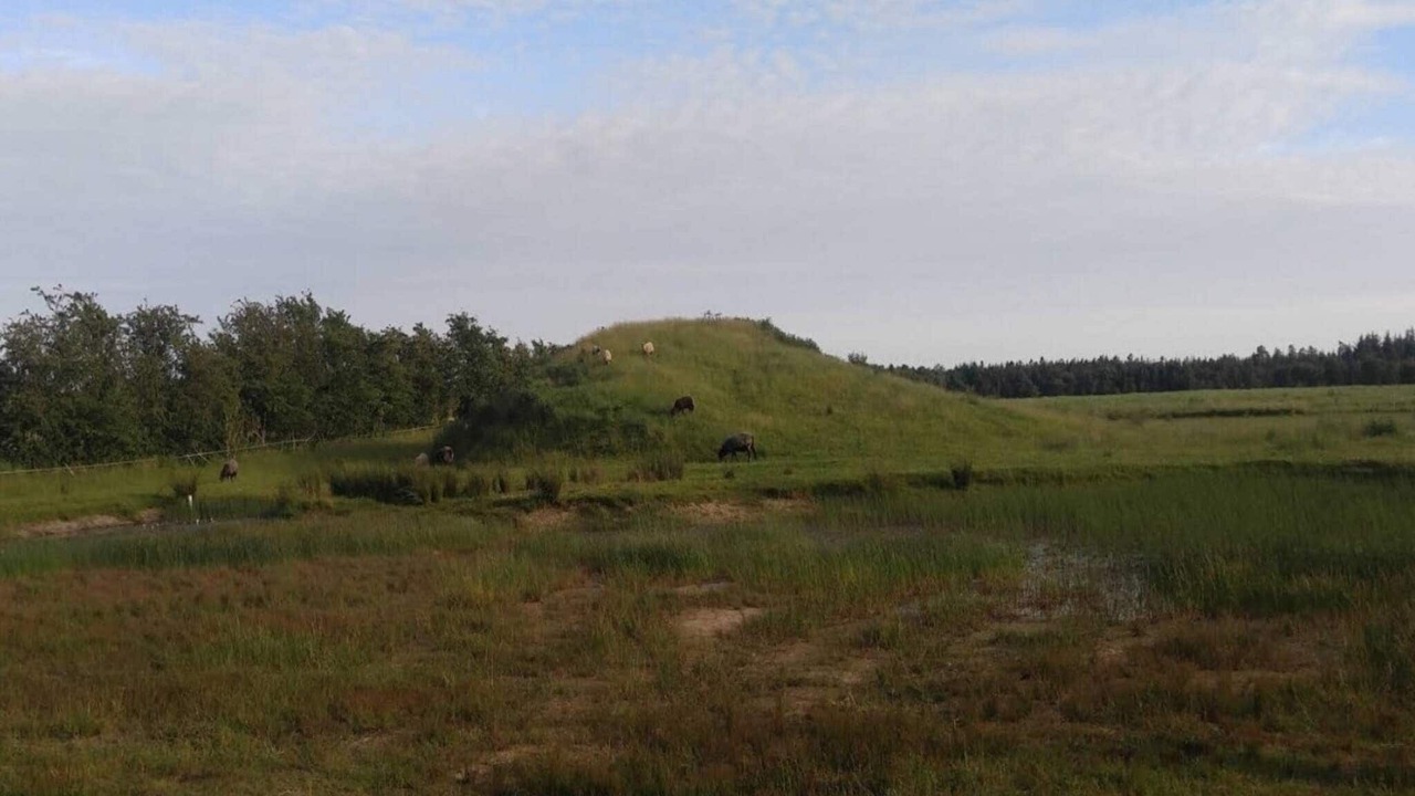 Photo of Others in Ansager
