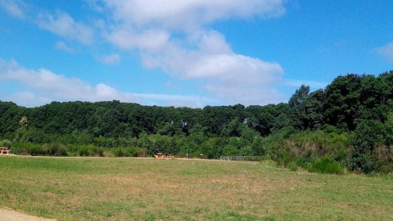 Photo of Others in Ansager