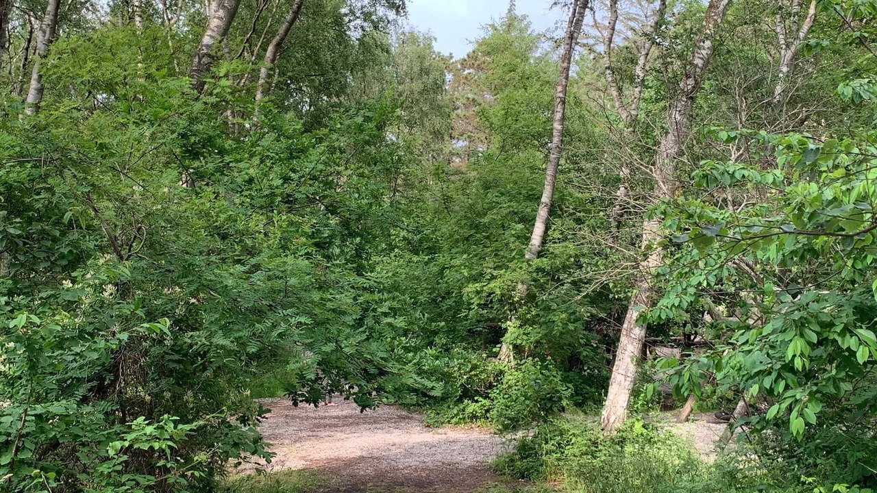Photo of Others in Ramlose