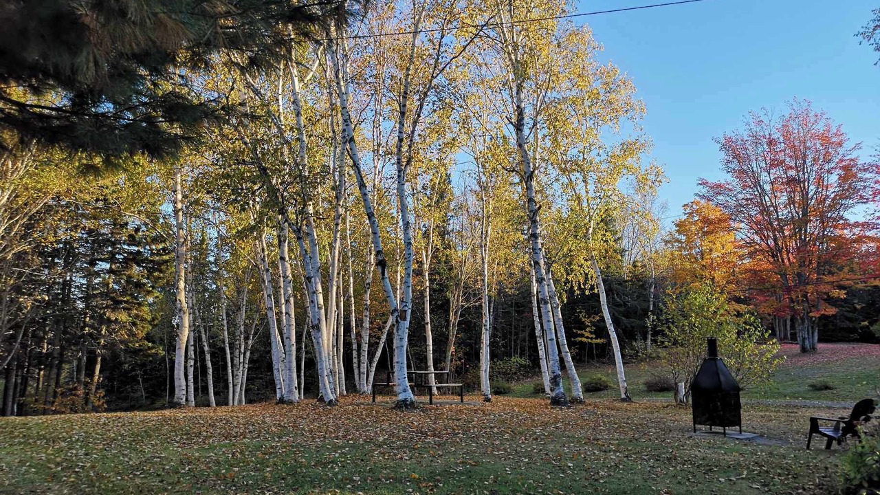 Photo of Outdoor in Saint-Valerien