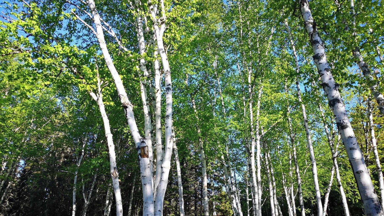 Photo of Others in Saint-Valerien