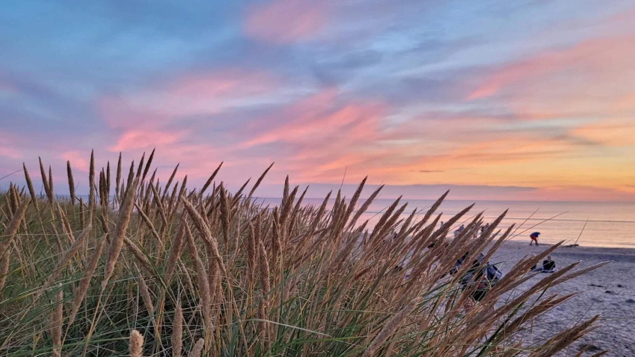 Photo of Others in Skagen
