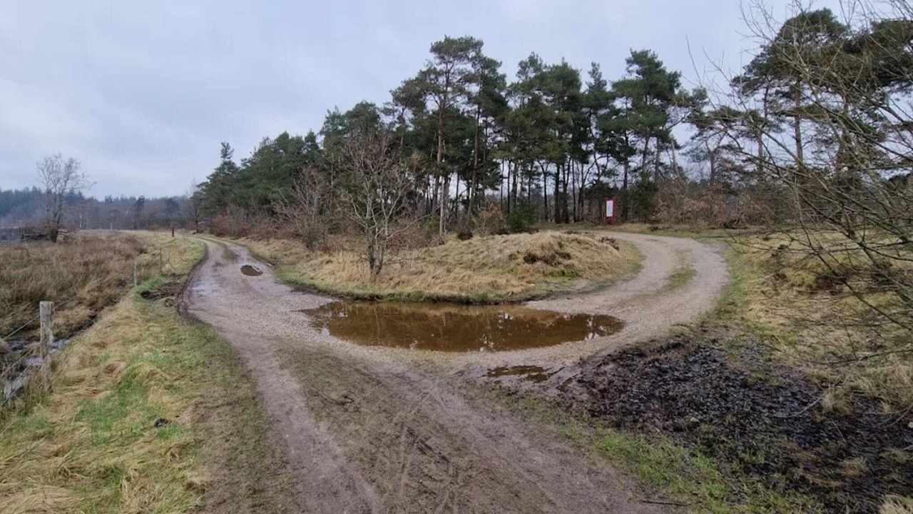 Photo of Others in Silkeborg