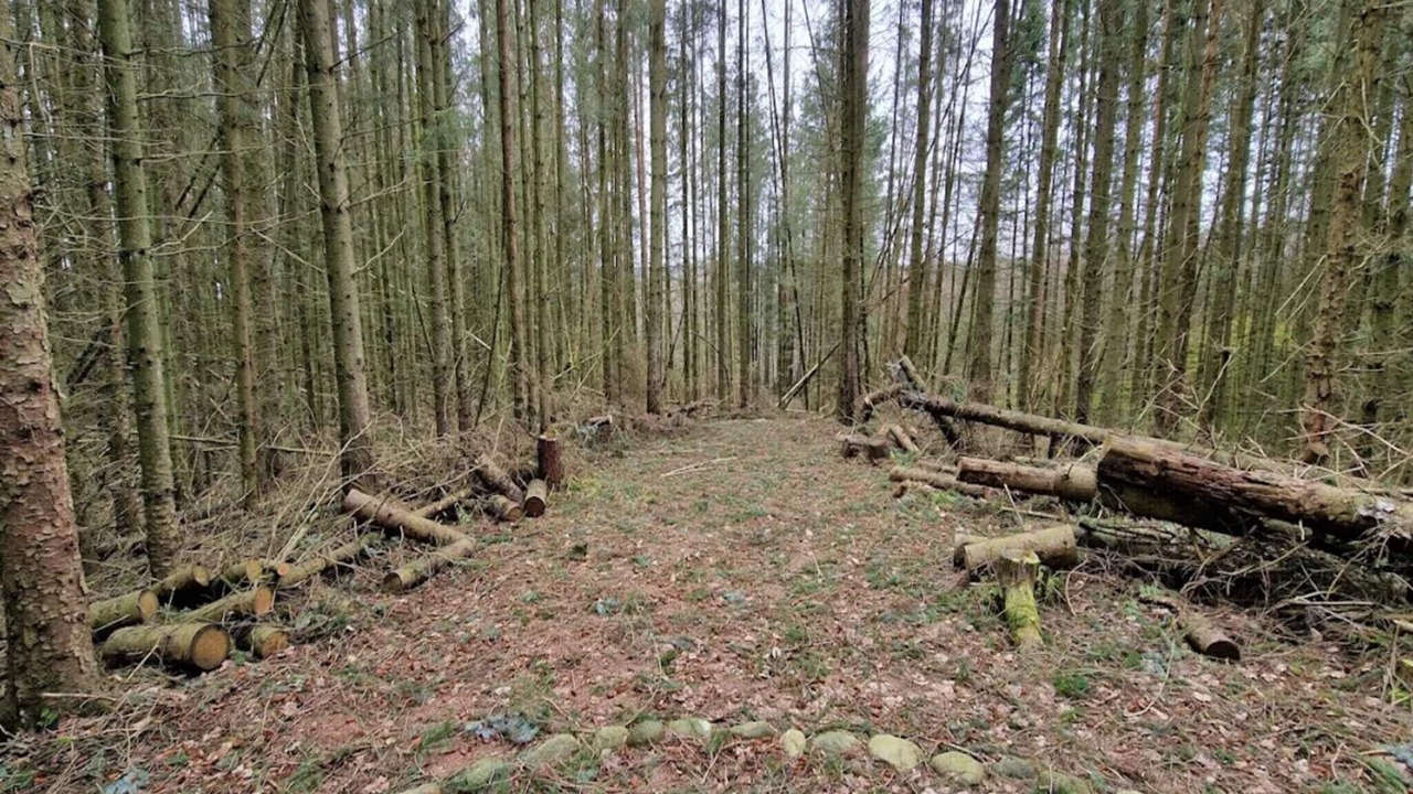 Photo of Others in Silkeborg