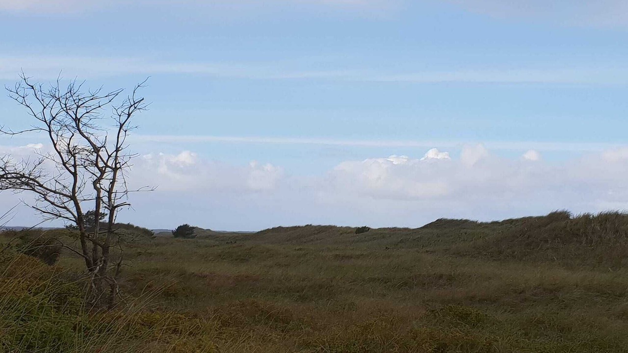 Photo of Others in Strandby
