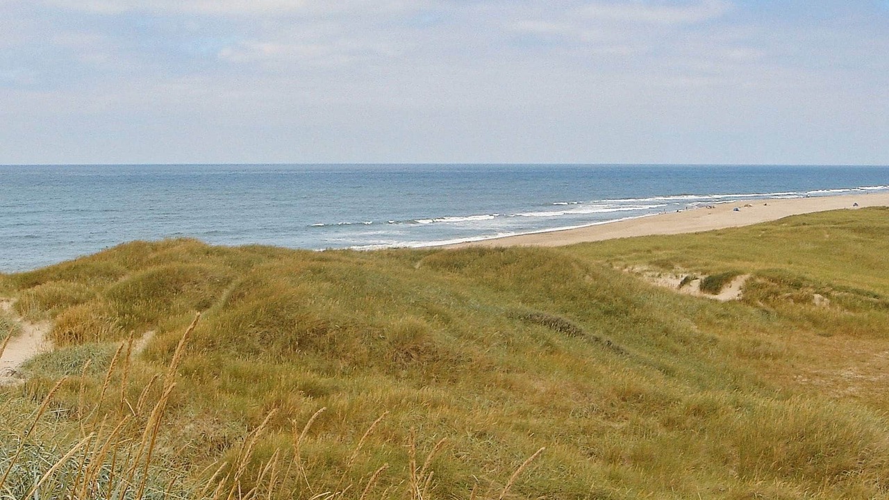 Photo of Others in Vrist Strand