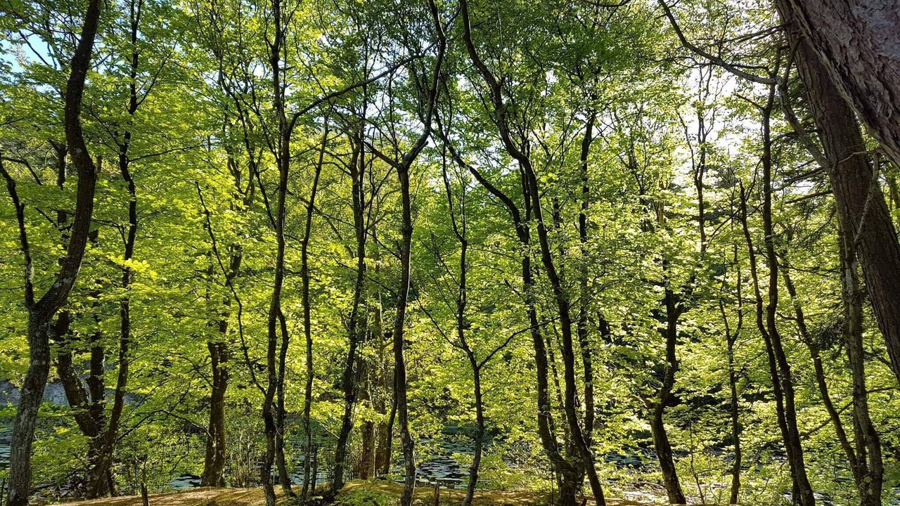 Photo of Outdoor in Aalbaek