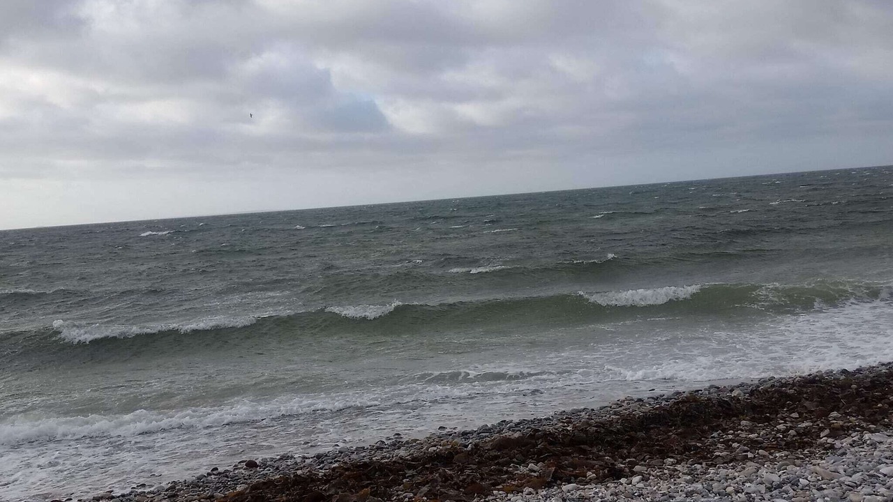 Photo of Others in Øer Strand