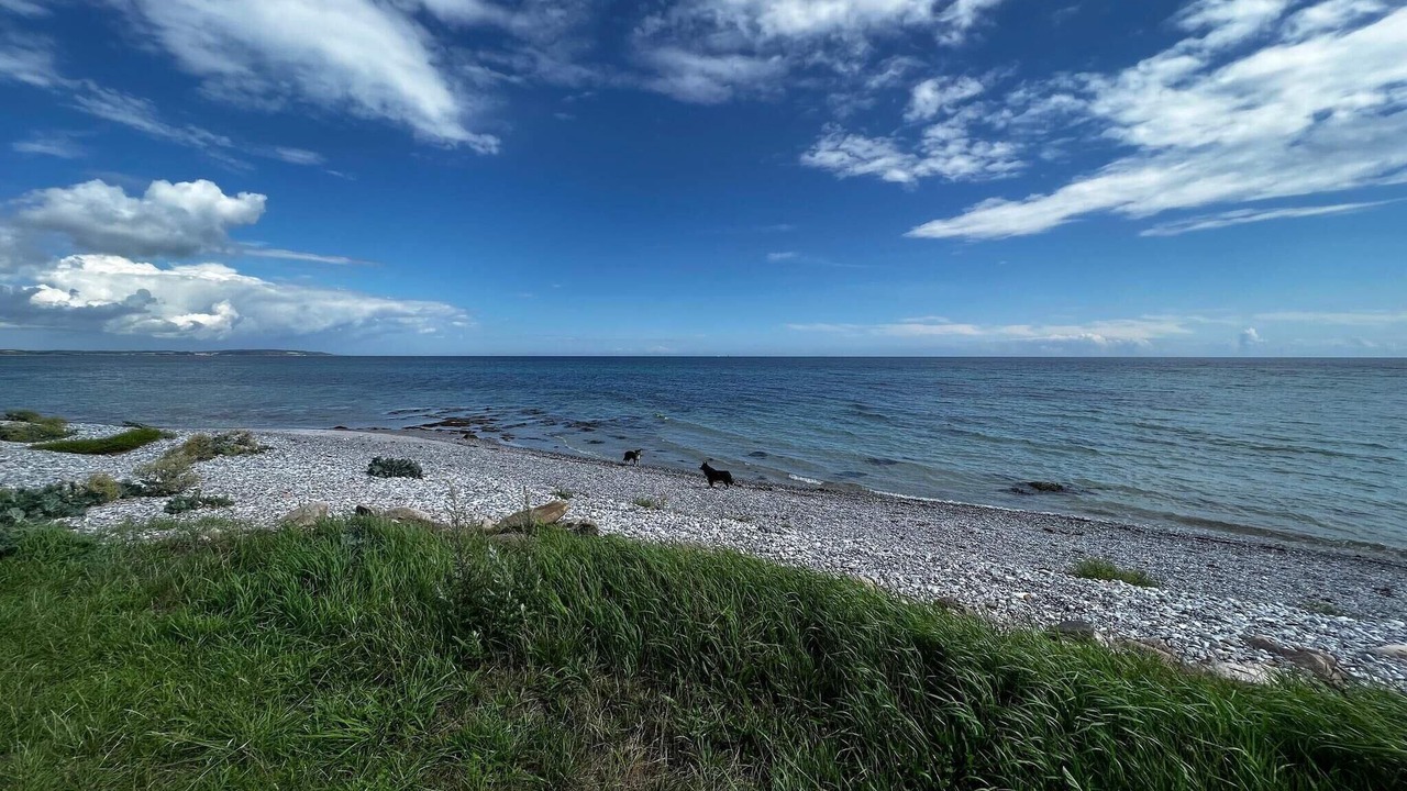 Photo of Others in Øer Strand