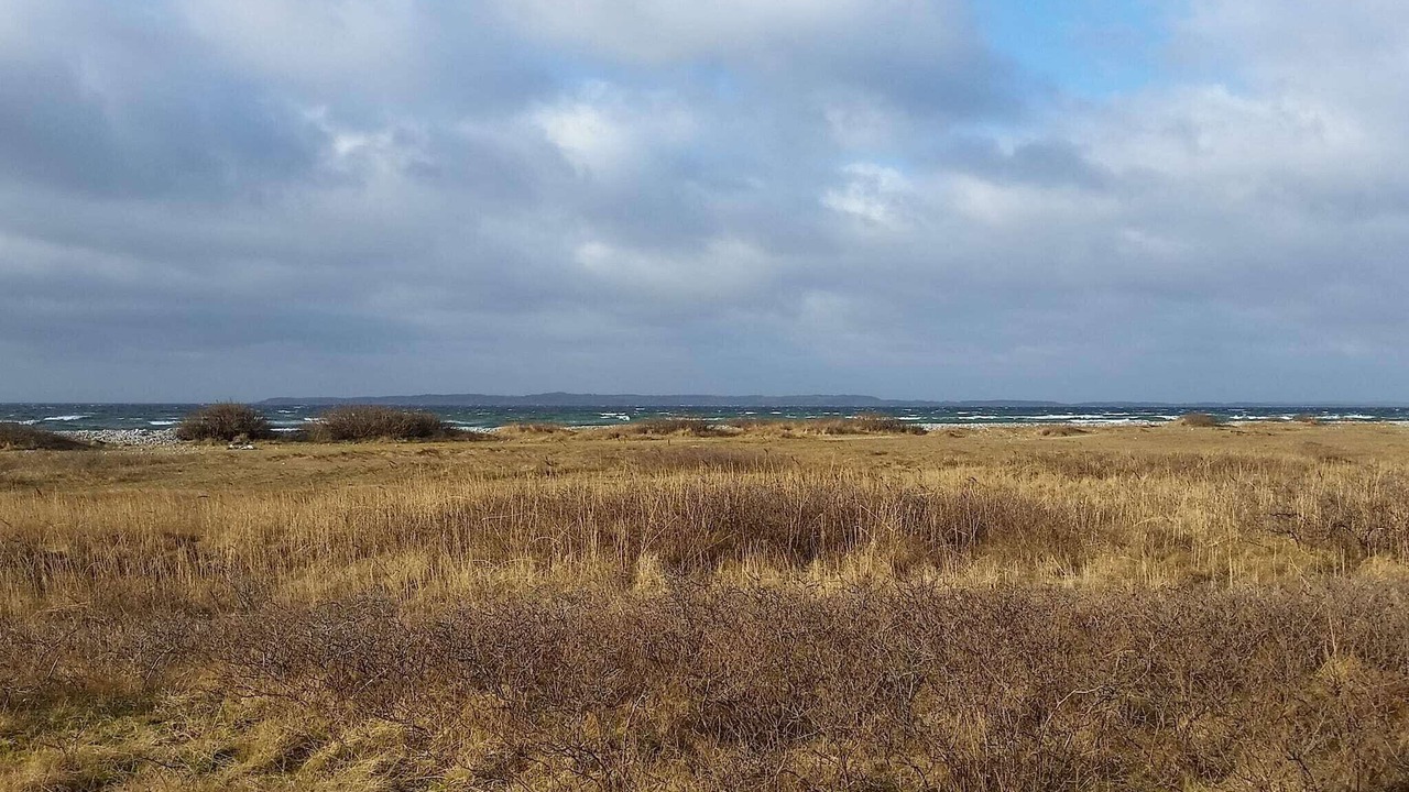 Photo of Others in Øer Strand