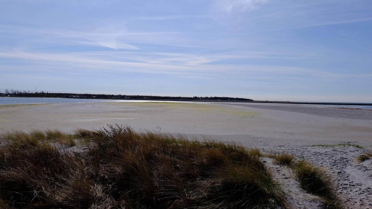 Photo of Others in Øer Strand