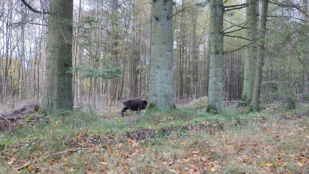 Photo of Others in Hovborg