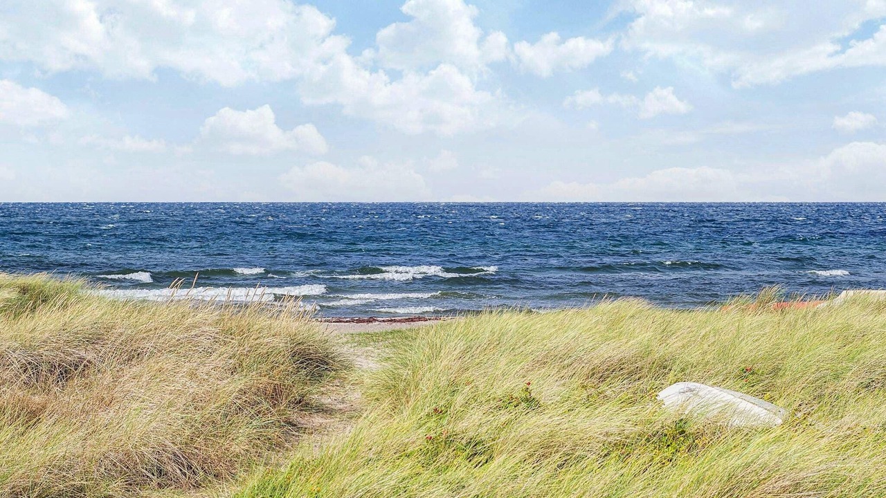Photo of Others in Store Fuglede