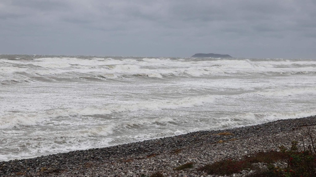 Photo of Others in Øer Strand