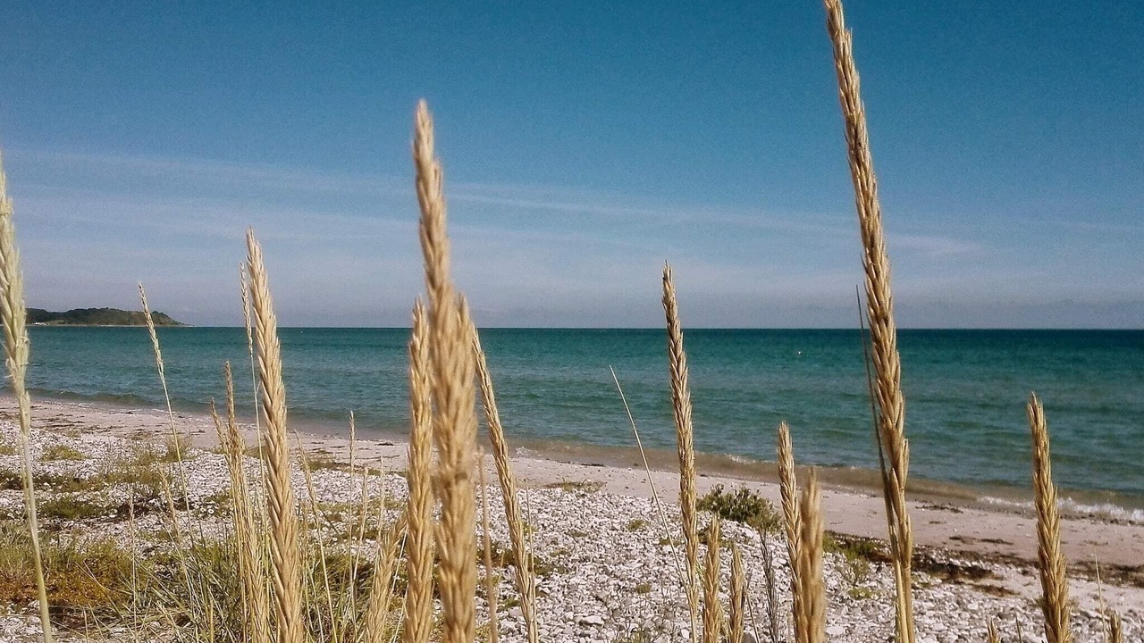 Photo of Others in Øer Strand
