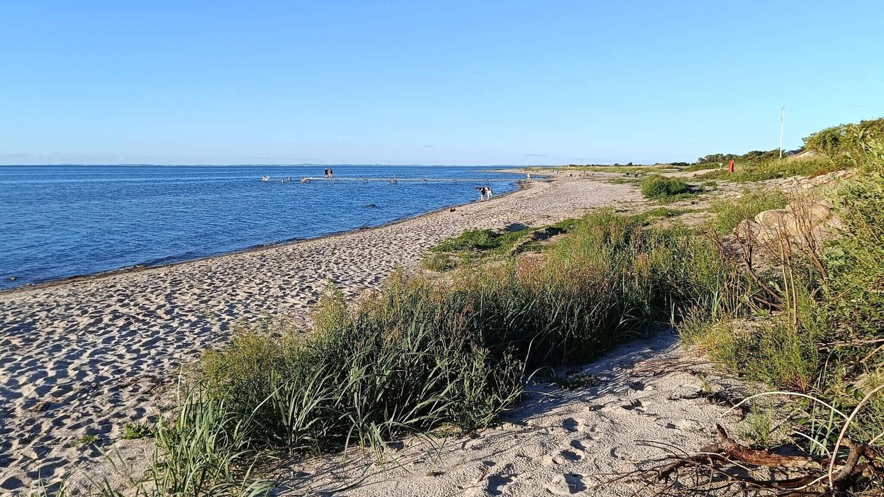 Photo of Others in Nordborg