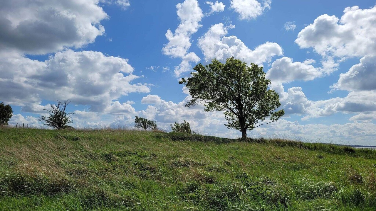 Photo of Others in Olsted