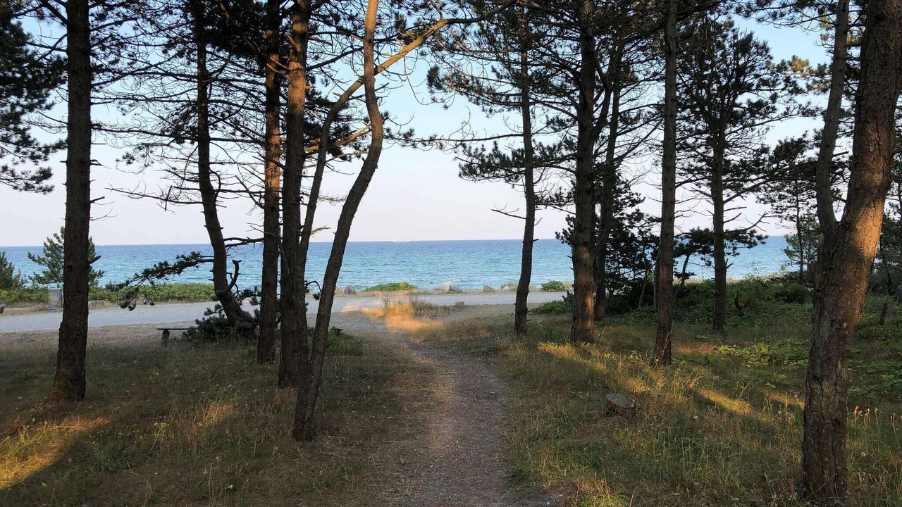 Photo of Outdoor in Elsegarde Strand