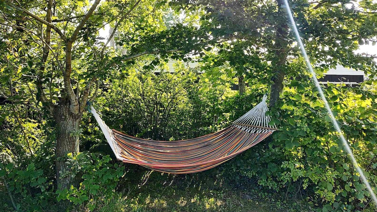 Photo of Outdoor in Allingabro