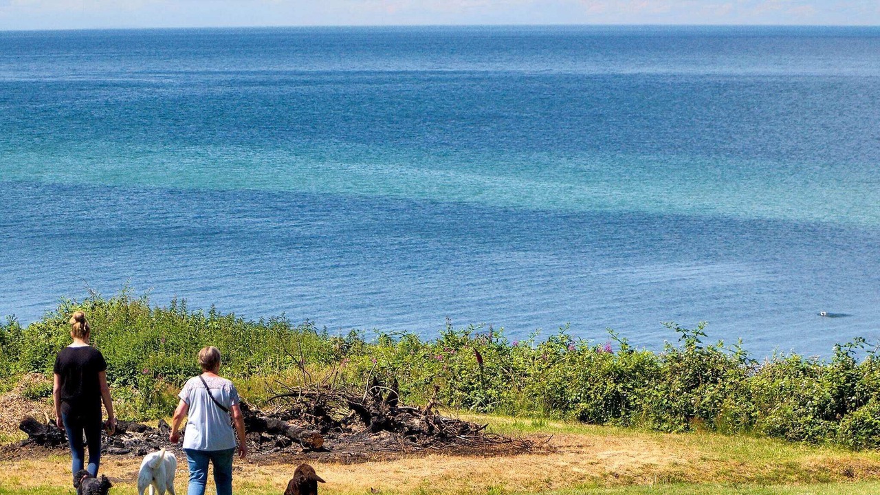 Photo of Others in Smidstrup Strand