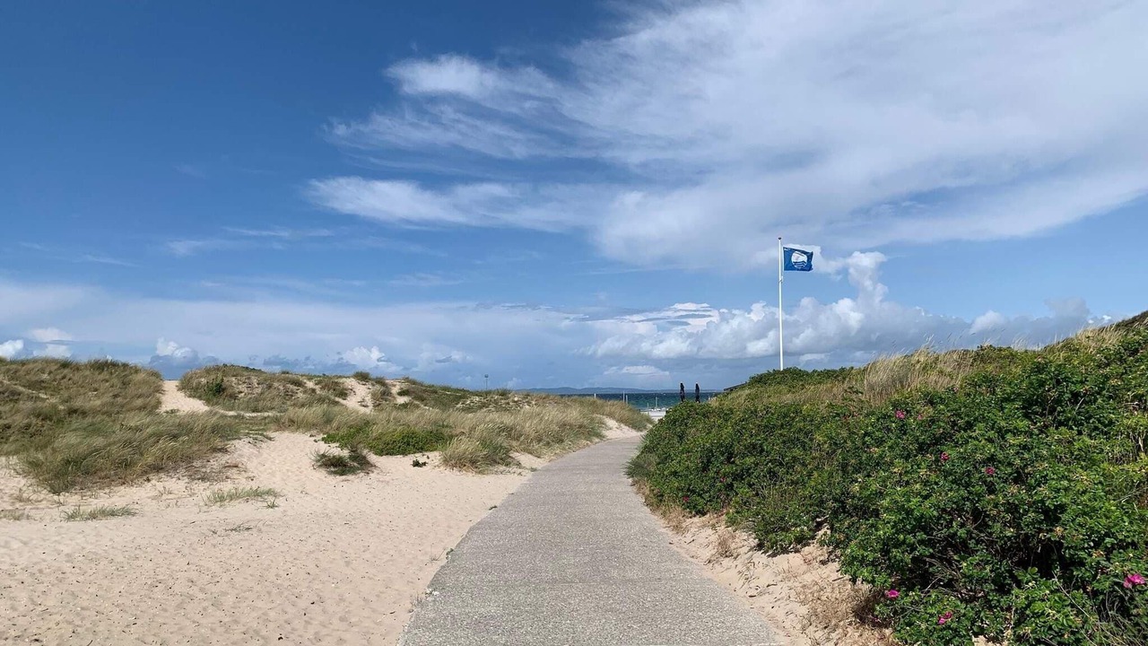 Photo of Others in Hornbaek