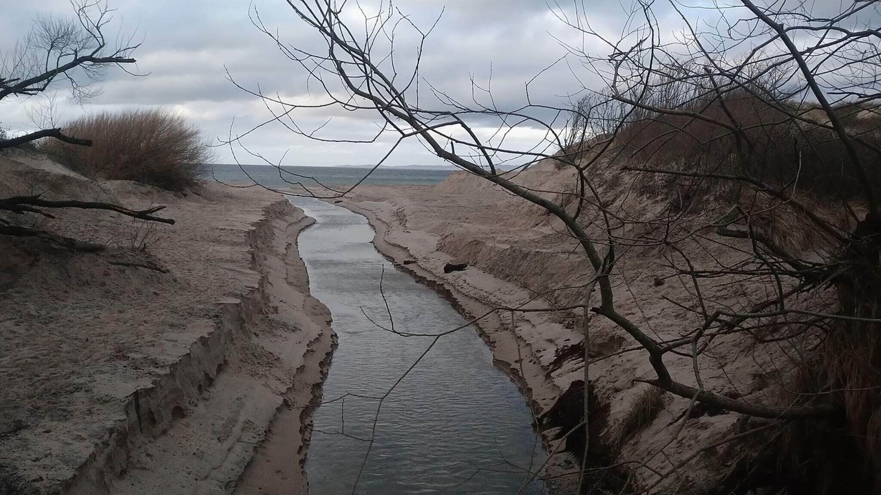 Photo of Others in Hornbaek