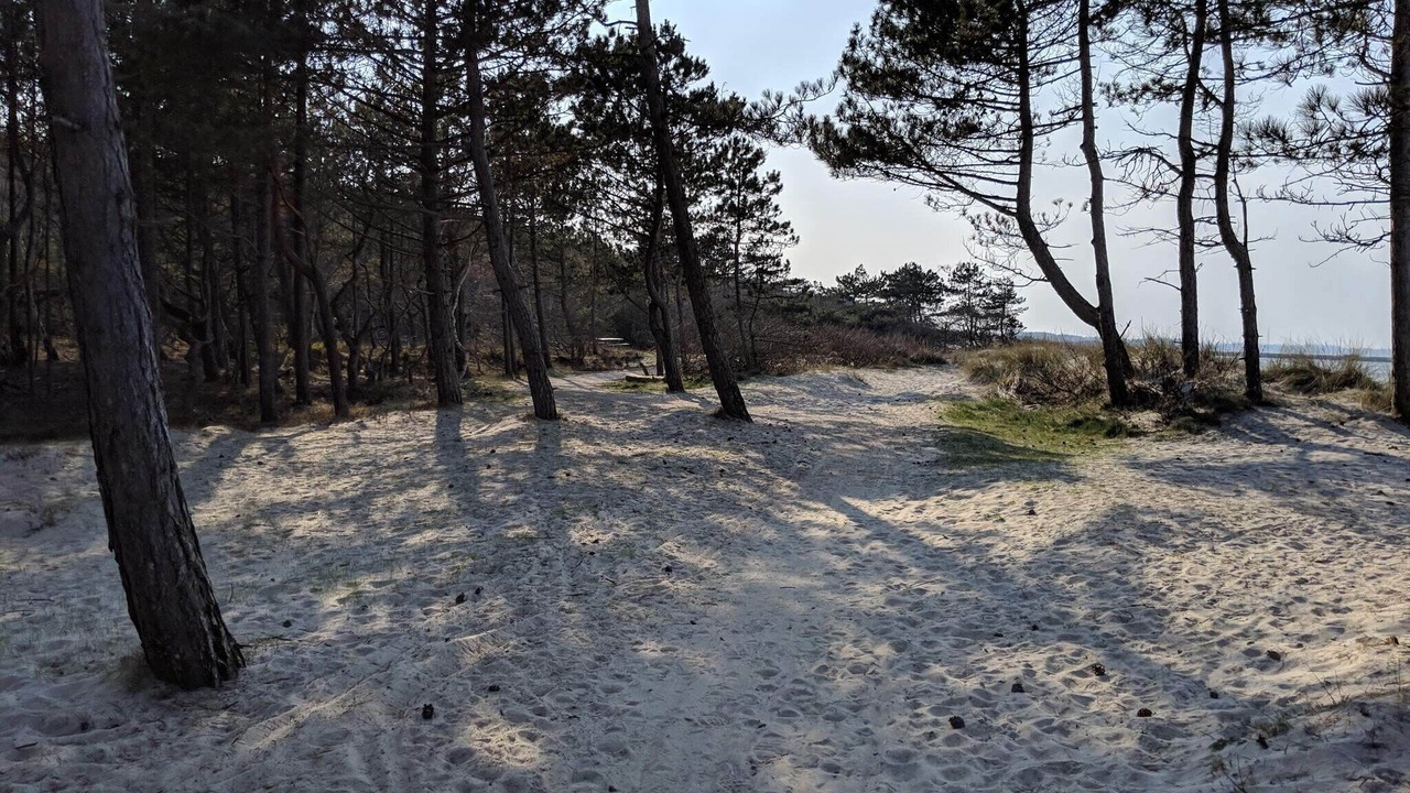 Photo of Others in Hornbaek