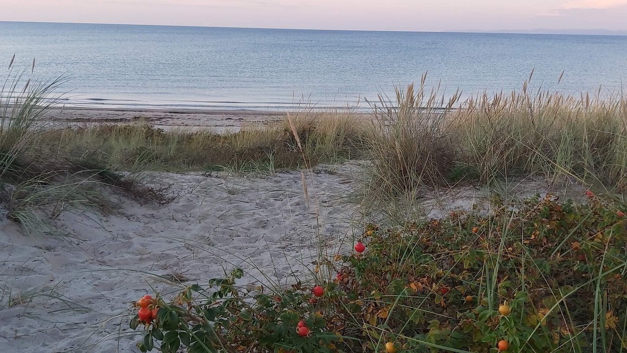 Photo of Others in Hornbaek