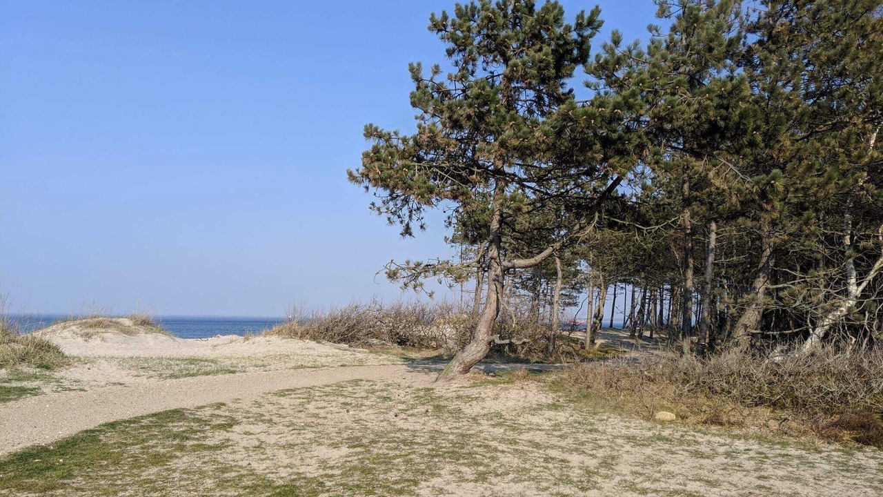 Photo of Others in Hornbaek