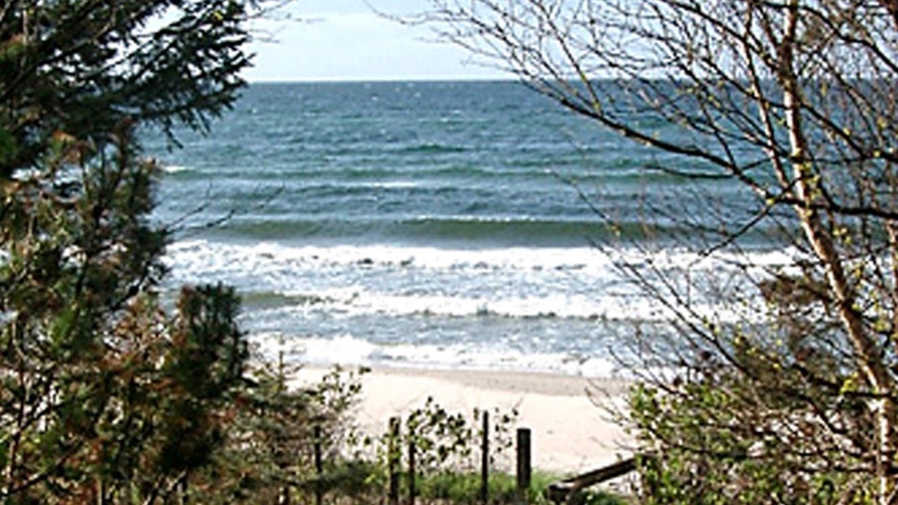 Photo of Others in Hornbaek