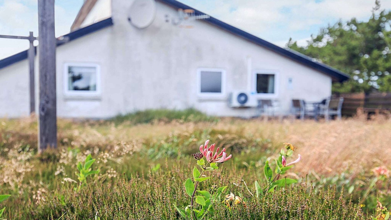 Photo of Outdoor in Vorupør