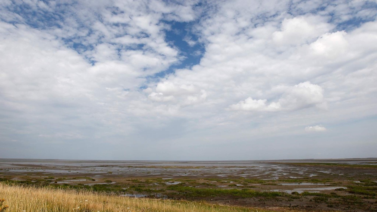 Photo of Others in Skaerbaek