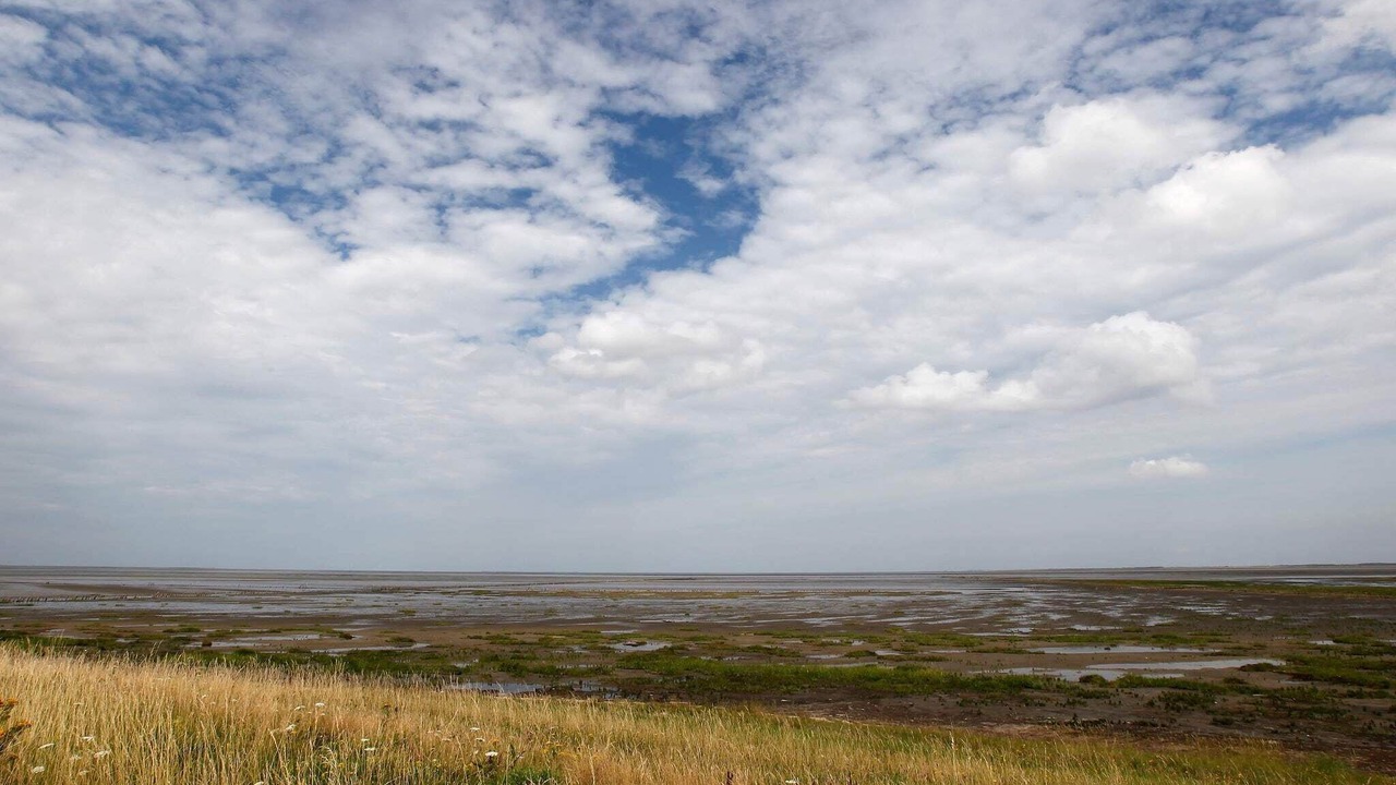 Photo of Others in Skaerbaek