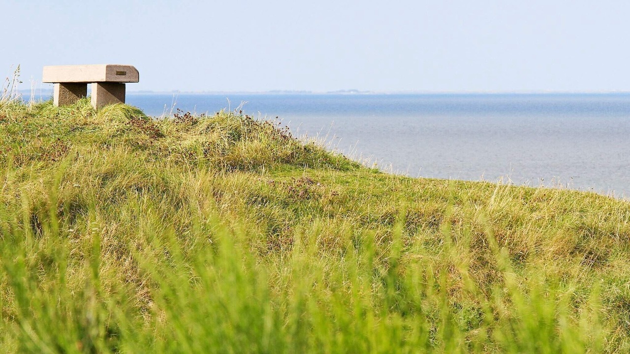 Photo of Others in Remmer Strand