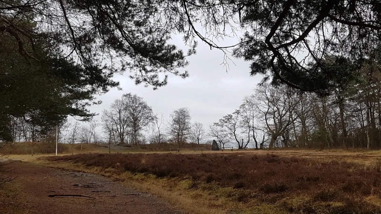 Photo of Others in Lystrup