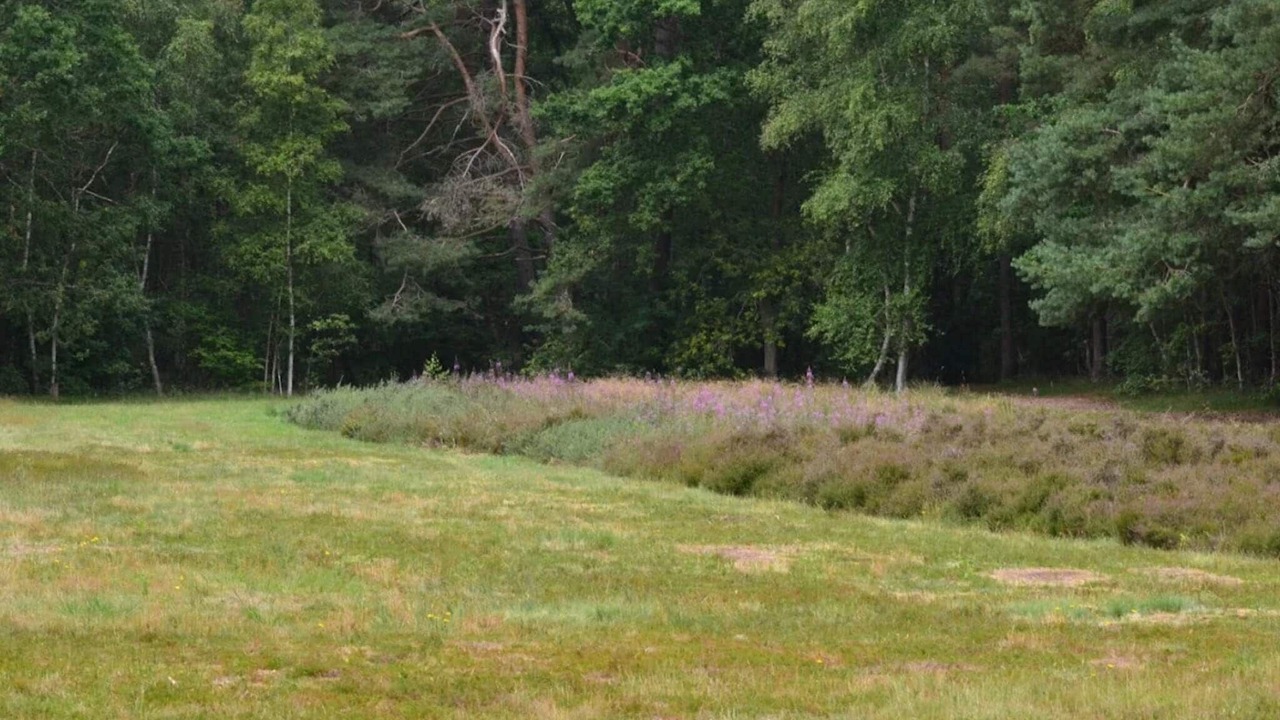 Photo of Others in Lystrup