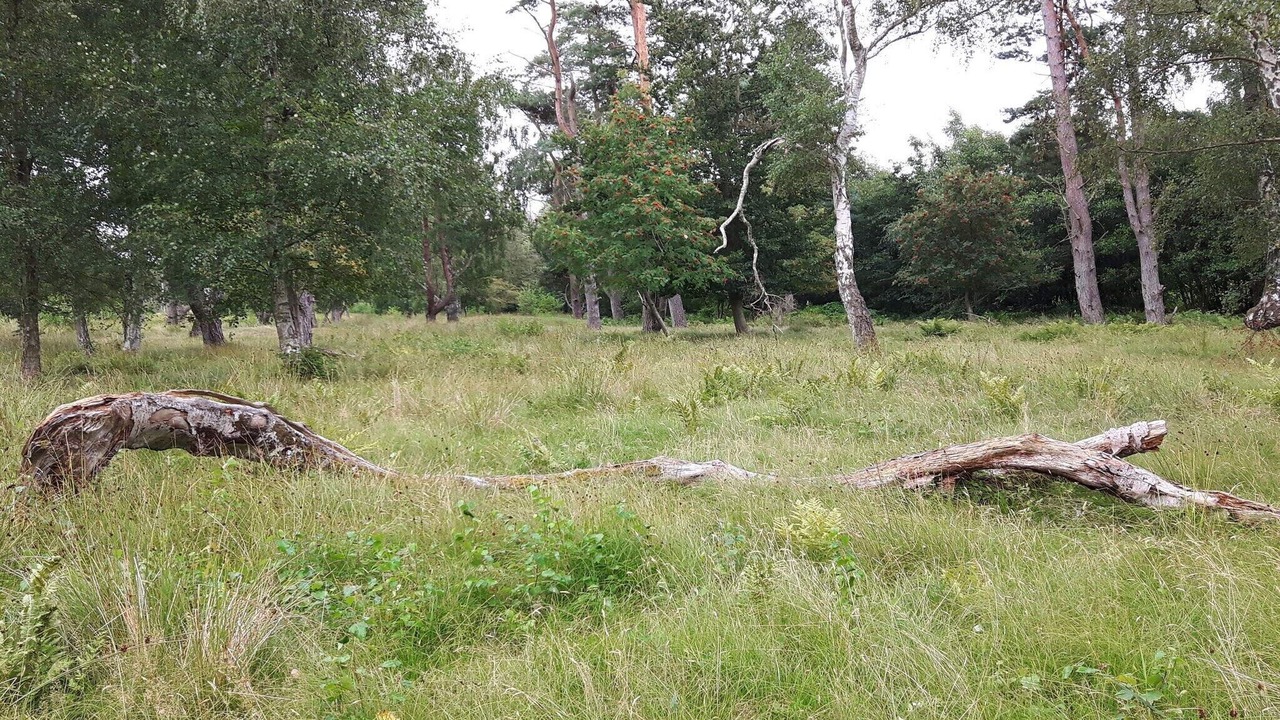 Photo of Others in Idestrup