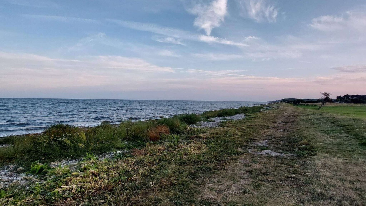 Photo of Others in Østerskov