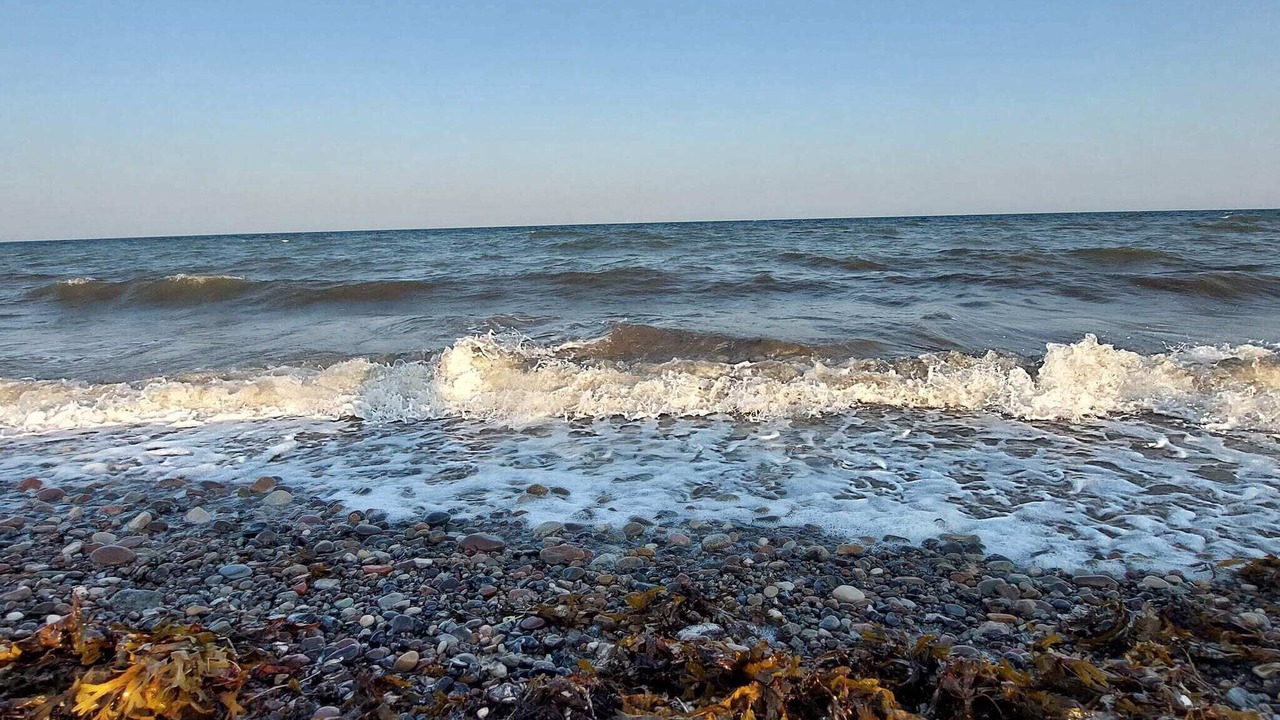 Photo of Others in Østerskov