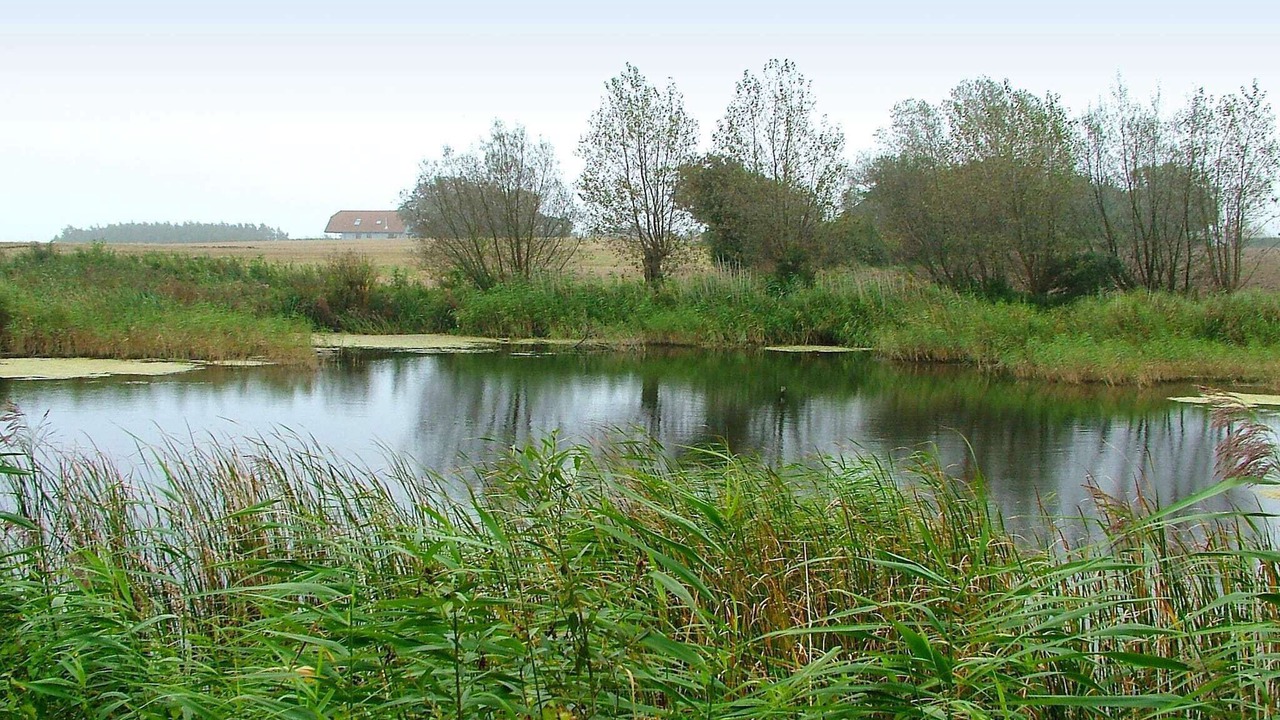 Photo of Others in Østerskov