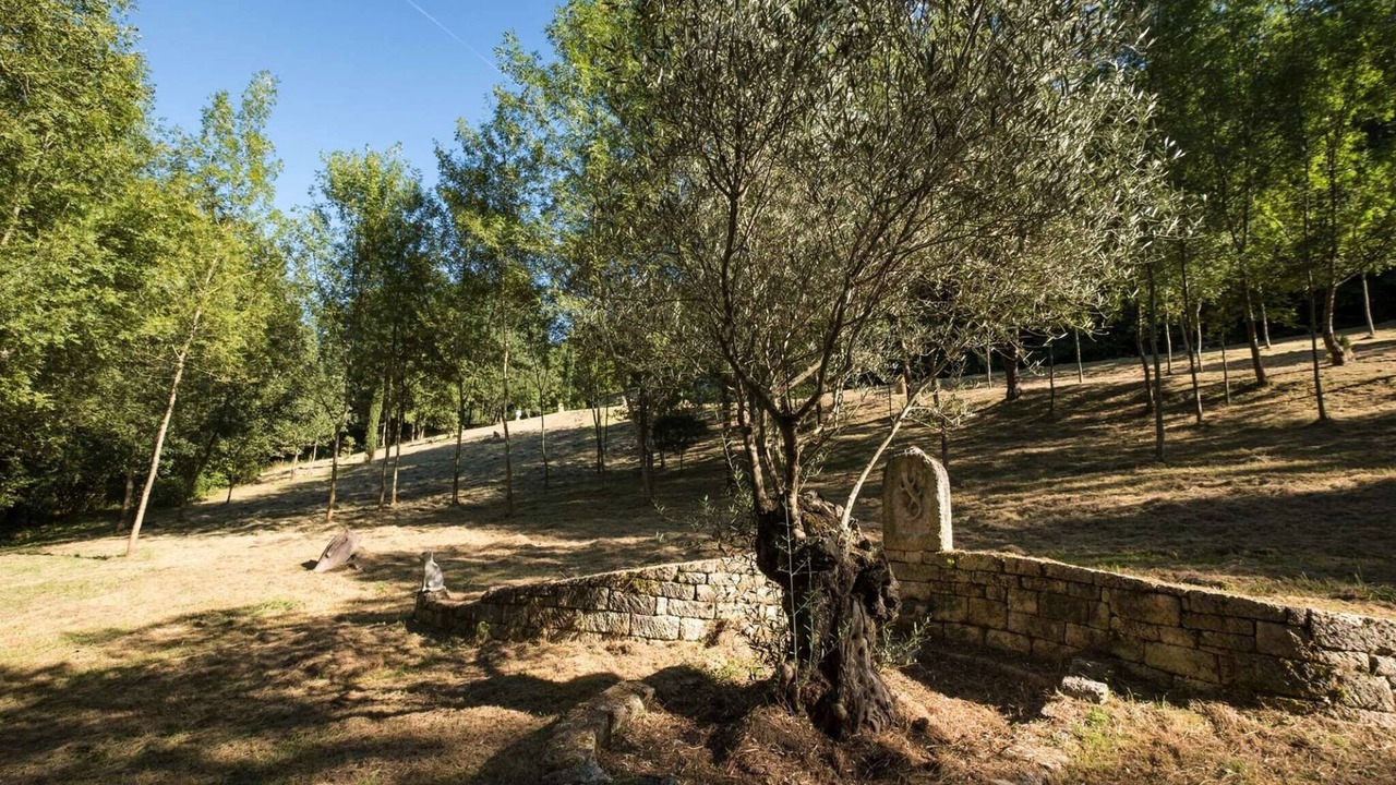 Photo of Outdoor in Bruniquel