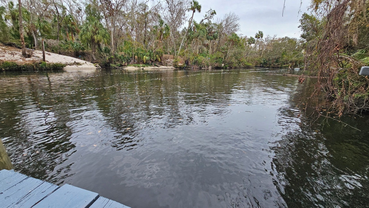 Photo of Others in Bloomingdale