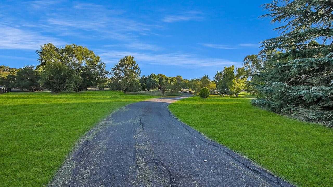 Photo of Others in Robin Hill