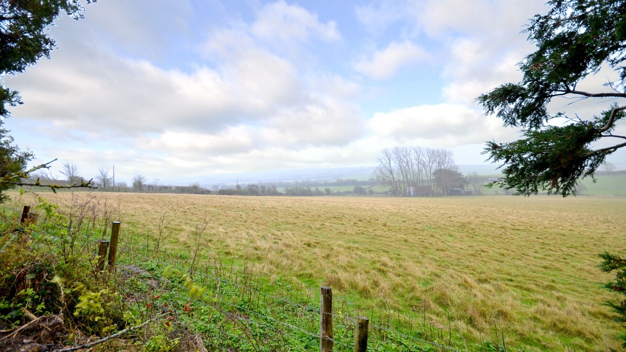 Photo of Others in Newport